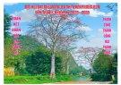 Tuyên truyền Đại hội Đảng các cấp nhiệm kỳ 2025-2030