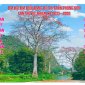 Tuyên truyền Đại hội Đảng các cấp nhiệm kỳ 2025-2030