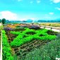 Thị trấn Phong Sơn, huyện Cẩm Thủy, tỉnh Thanh Hóa tổ chức quyên góp ủng hộ đồng báo bị ảnh hưởng do cơn bão số 3 năm 2024. Kết quả mỗi ngày: